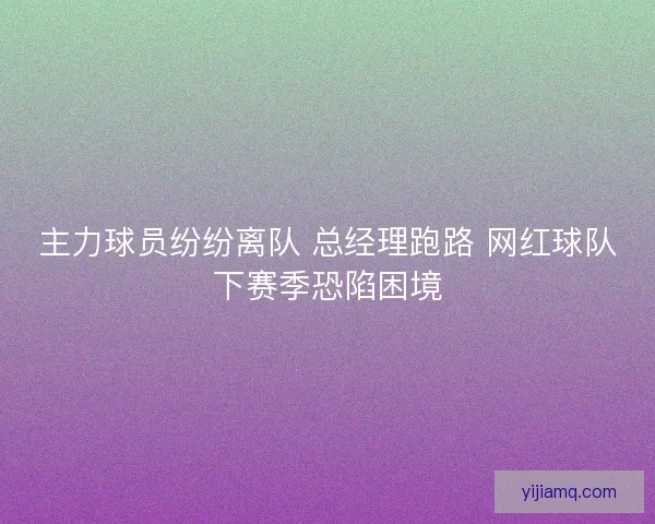主力球员纷纷离队 总经理跑路 网红球队下赛季恐陷困境