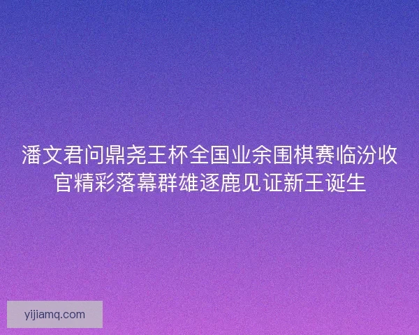 潘文君问鼎尧王杯全国业余围棋赛临汾收官精彩落幕群雄逐鹿见证新王诞生